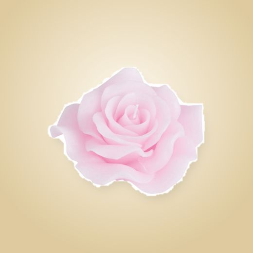 Vela Rosa clásica